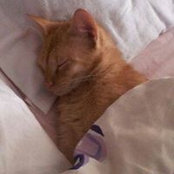 Rosanne Wells's photo