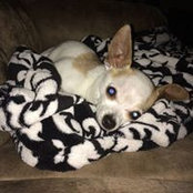 Joanne Nadeau's photo