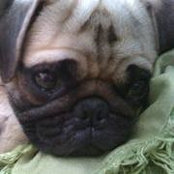 Jennifer Penney's photo