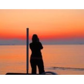 Deanna Fitzgerald's photo
