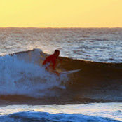 Photo de Paul Viskovich