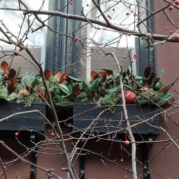 Christmas window boxes in Brooklyn