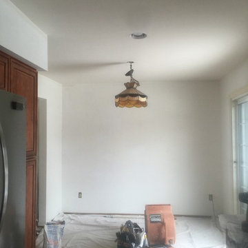 Dennis's Do It Yourself Wallpaper Removal