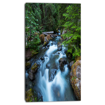 Rushing Water in Forest Creek, Extra Large Landscape Canvas Art, 16"x32"