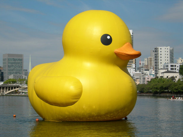 Florentijn Hofman - Rubber Duck, Osaka 2009