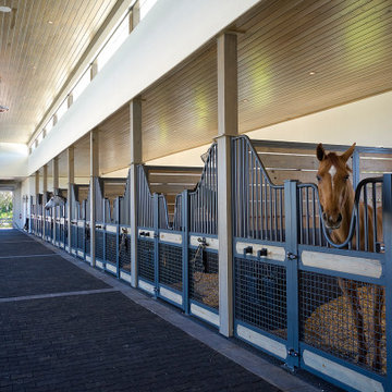 Modern Stables / horse barn