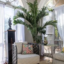Palms