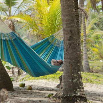 Hammocks