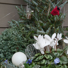 christmas planters