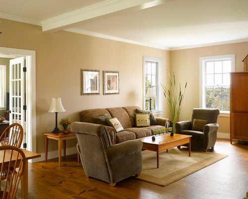 Tan Color Walls Ideas, Pictures, Remodel and Decor