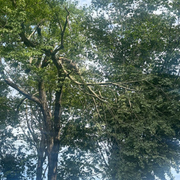 Custom Privacy Fence Installation and Tree Removal