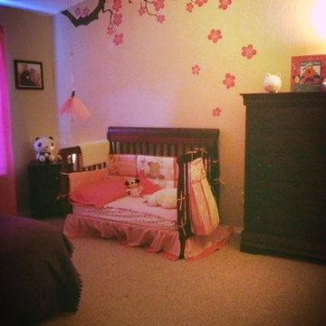 Awesome Nursery Decorating Ideas by our Awesome Customers!