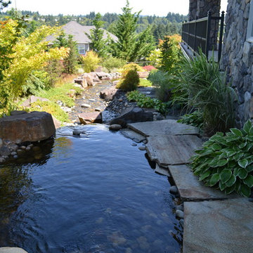 Felida Residence