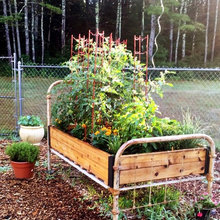 Avalon's raised garden