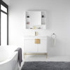 Modern White Bathroom Vanity Set, Satin Brass Hardware, Vireous China Sink Top