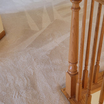Carpet Cleanings