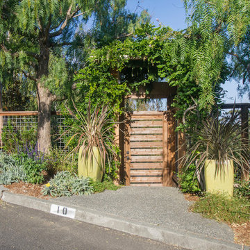 Mill Valley Hillside Landscaping