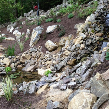 The Mountain Stream