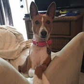 Amy Kratcoski's photo