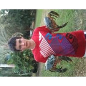 Aaron Grovess billede
