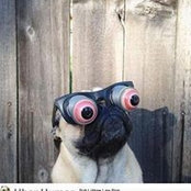 Matthew Brown's photo