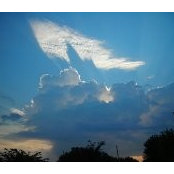 Carla Pounds's photo