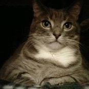 Deb Fawcett's photo