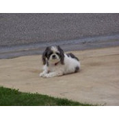 Doris Carden's photo