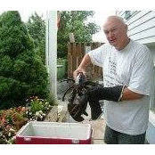Jeff Ross's photo