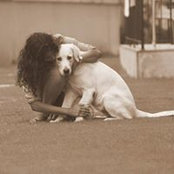 Samira Abraham's photo