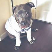 Muzette Henriquez's photo