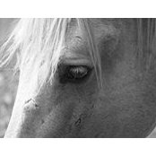 Foto von Amy Peterson