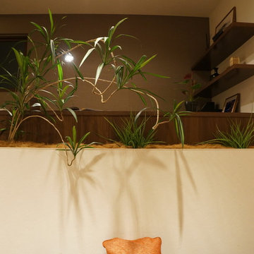 Plants.L