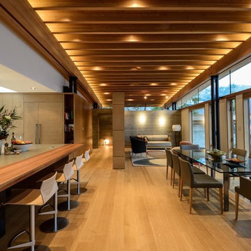 Lakefront Modern