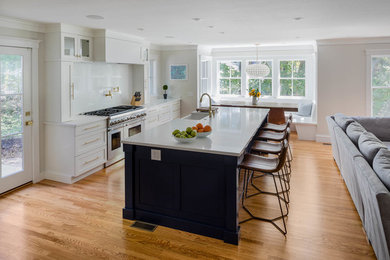 This is an example of a modern kitchen in Boston.