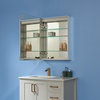 Rectangular Frameless Lighted Medicine Cabinet Wall Mounted Mirror, 24"