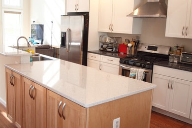 Kitchen - modern kitchen idea in DC Metro