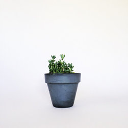 4" Classic Concrete Pot / Medium Gray - Indoor Pots And Planters