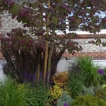Large contemporary garden in rural setting