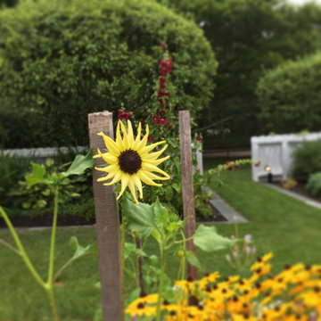 Osterville Gardens