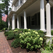shrubs