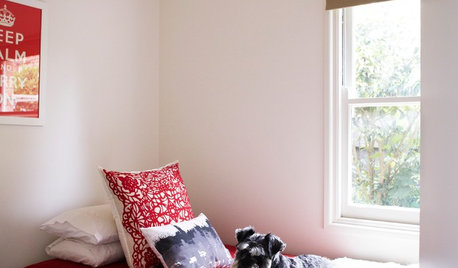5 Ways to Happily Cohabitate With Your Pets