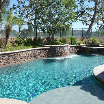 Freeform Pool with Baja Step and Raised Spa.