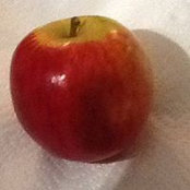 Barbara Mitchell's photo