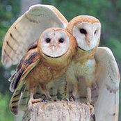 Katherine Austin's photo