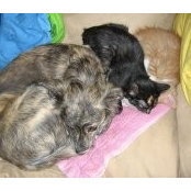 Jill Kuper's photo