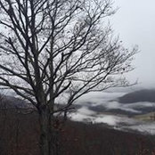 Alisa Perna's photo