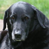Danny Tatum's photo
