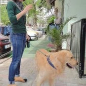 Firuze Yavuz's photo