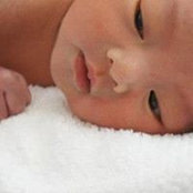 Foto di Jade Hoang